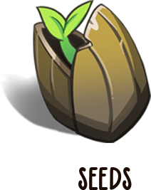 Seed